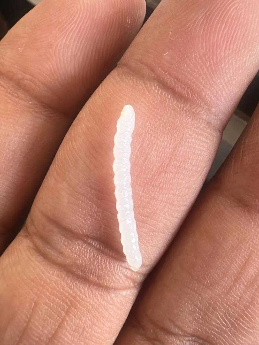 A single cooked basmati grain resting on a fingertip